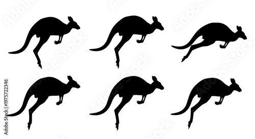 Kangaroo silhouette vector set, jumping australian animal icons in black, 6 jumping kangaroo elements for logo design and wildlife graphics