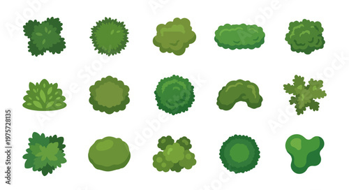 Top View Bush and Shrub Vector Set for Landscape Architecture and Garden Site Plan Greenery Symbols