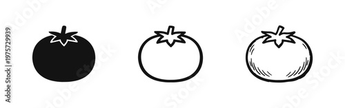 Tomato icon set. Black silhouette, outline, and hand drawn style tomato icons. Fresh produce vector illustration.