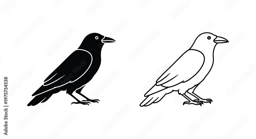 Fototapeta premium BlackAndWhiteCrowIllustrationComparison Vector