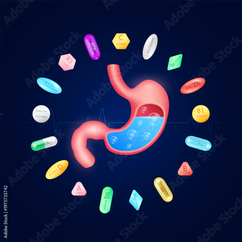 Model of the human stomach is surrounded by pills capsules. Probiotic Prebiotic Vitamin B Minerals Zinc Calcium Fiber Omega 3. Supplement essential nutrients for organ. Health care medical. Vector.