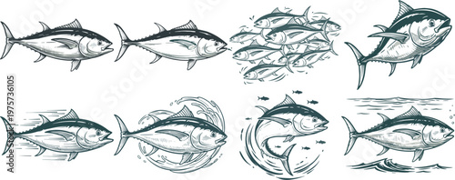 Hand Drawn Tuna Fish Illustration Collection Set