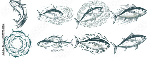 Collection of Tuna Fish Illustrations in Vintage Engraving Style