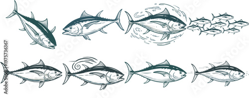 Set of Tuna Fish Illustrations in Vintage Engraving Style