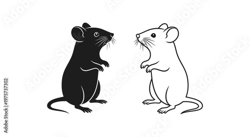 Rodent Comparison Black Rat vs White Mouse Vector