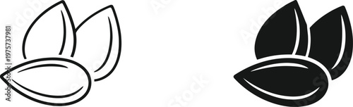 Sunflower seeds illustration black and white line art depicting seed pairings