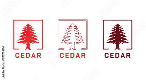 Set of three minimalist cedar tree illustrations in red, light red, and dark brown with simple geometric design