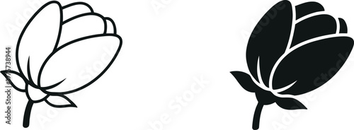 Two tulip buds in black and white a minimalist floral illustration