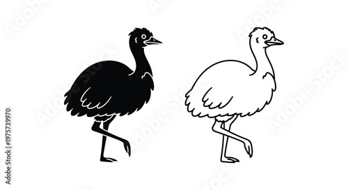 BlackWhiteEmusComparisonIllustration Vector