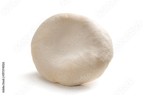 大きな信州あわび茸