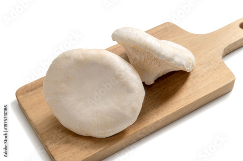 大きな信州あわび茸