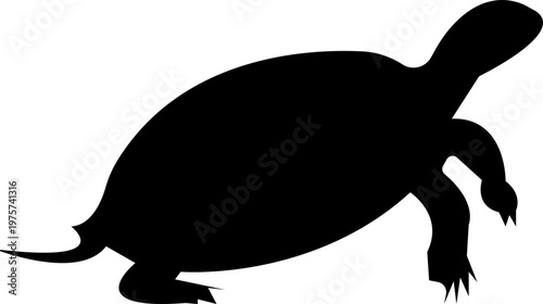 turtle caretta silhouettes icon, large pack of vector silhouette design, marine animal ocean wildlife clipart, aquatic reptile design, stylized shell patterns, underwater nature art, Graphic Design,