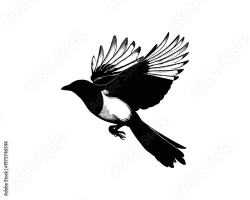 silhouette of ant colony reflection on water surface minimalist monochrome composition