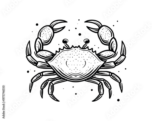 Minimalist black crow perched on concrete block in monochrome studio lighting