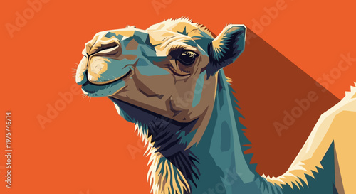 Camel portrait illustration against orange background