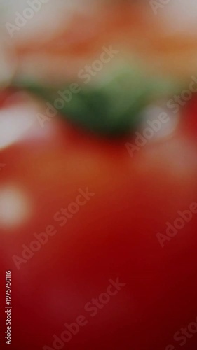 Vertical video: Single ripe tomato food macro, focus racking showing droplets HUD testing ripeness