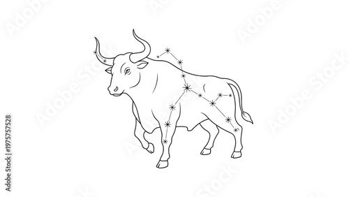 Astronomical illustration of the Taurus zodiac sign featuring a bull outline combined with its constellation stars in a clean line art style.