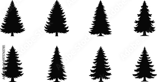 Coniferous tree silhouette collection, evergreen forest artwork, pine tree illustration, botanical nature design, decorative landscape element, stylized foliage drawing, natural woodland symbol
