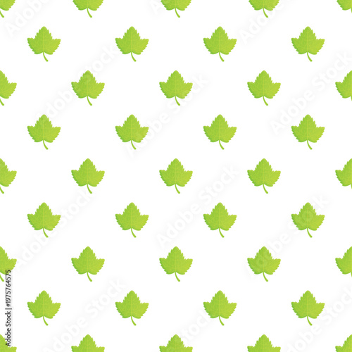 Green cartoon leaves repeating on a white background creating a simple seamless pattern