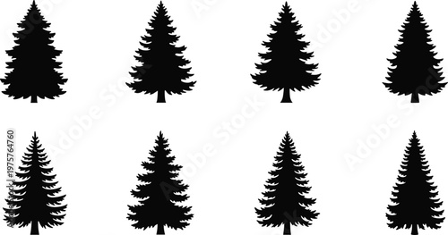 Coniferous tree silhouette collection, evergreen forest illustration set, black pine and fir outlines, botanical design for nature, logo, decorative art