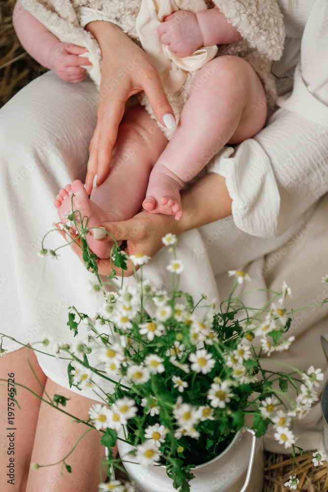 Fototapeta premium Close-up of a mother's hands gently touching her baby's feet next to fresh chamomile flowers in a metal milk can. Warm, cozy atmosphere on a straw background, wearing white linen clothes.