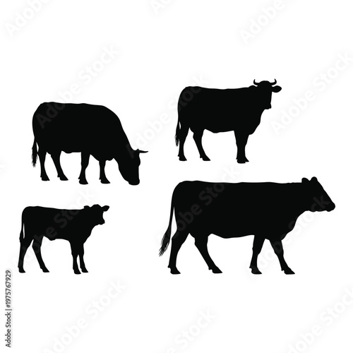 Silhouette depiction of four cattle grazing in a field showcasing varying sizes