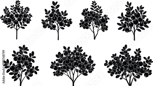 Fruit tree and bush silhouettes collection, abstract botanical illustration, decorative foliage design, isolated vector plants, natural branching patterns, agriculture art
