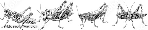 A detailed mechanical grasshopper with spring legs and gear joints stands against a solid white background in a monochrome coloring book style