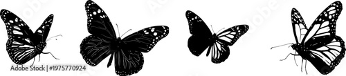 A detailed monarch butterfly in flight, depicted as a stark black silhouette with delicate patterns on its wings, rendered in a flat vector style against a pure white background for auto tracing