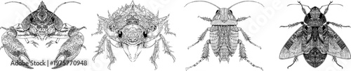 A detailed illustration of a mole cricket showcases its massive front claws with sharp black ink outlines against a solid white background in monochrome coloring book style