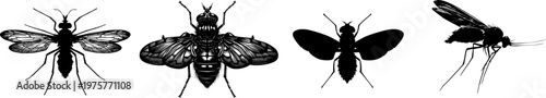 A detailed snipe fly illustration in a stark black silhouette, flat vector style, isolated on pure white background, with crisp high contrast edges and minimalist stencil design, auto tracing ready