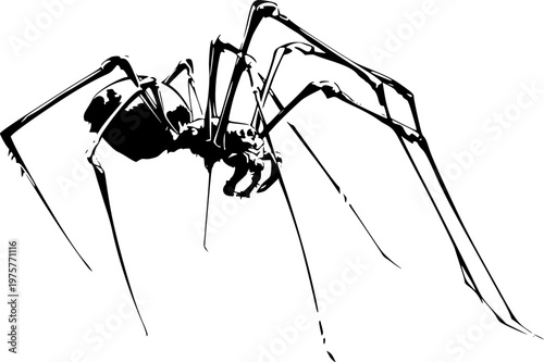 A detailed, spitting spider illustration with a unique head silhouette, rendered in stark black against a pure white background, showcasing crisp high contrast edges and minimalist stencil design for