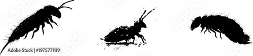 A detailed springtail jump pose profile in stark black silhouette, isolated on a pure white background with crisp high contrast edges, minimalist stencil design, perfect for auto tracing 7