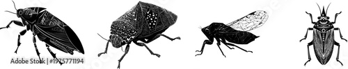 A detailed treehopper insect with a futuristic geometric helmet stands starkly against a pure white background, showcasing crisp high contrast edges in a minimalist stencil design
