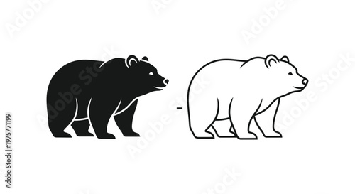 Black vs Polar Bear Key Differences Explained Vector