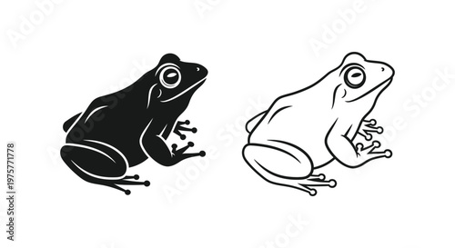 Frog Species Illustration Guide  Differences Vector