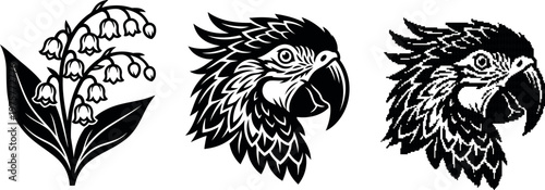 Floral and avian monochrome designs a lily and a parrot on transparent background