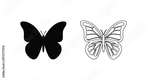 Elegant Butterfly Designs Minimalist Art  Symbolism Vector