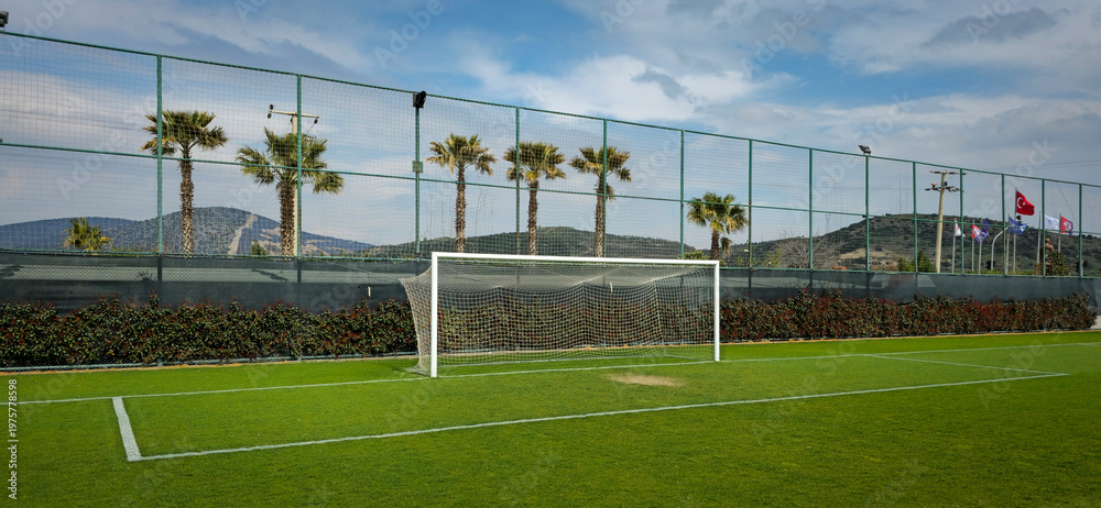 Fototapeta premium A training field surrounded by palm trees and hedges. Real grass, side view of an empty soccer goal.