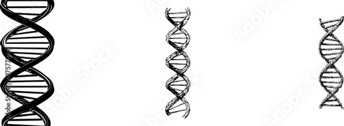A striking double helix DNA strand stands vertical against a pure white background, outlined in bold black ink with high contrast monochrome style for clear vector tracing
