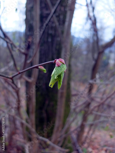 Historischer Kreuzweg in Ebermannstadt