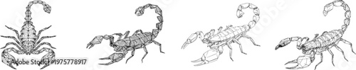 An elegant geometric scorpion with angular tail and pincer segments is depicted in a monochrome coloring book style, featuring sharp black ink outlines against a solid white background, showcasing