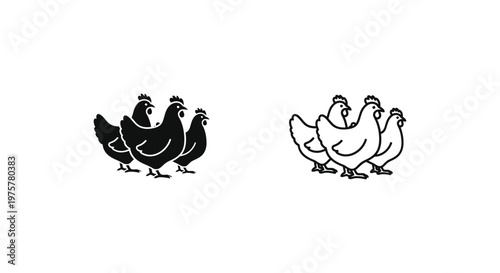Chickens Illustration Black  White Farm Animal Vector Design Vector