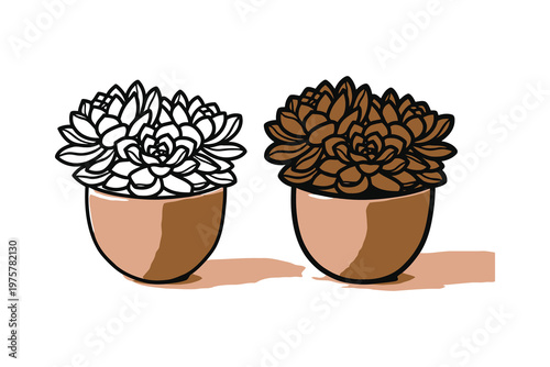 Vector Illustration of Two Potted Succulents