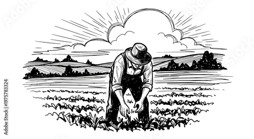 Farmer planting seeds in field at sunrise
