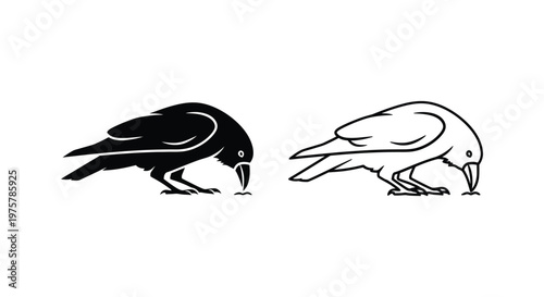 Black White Raven Crow Bird Silhouette Vector Icons Vector