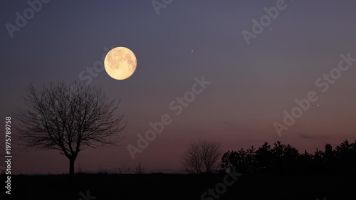Full Moon, stars and planets above landscape silhouettes.