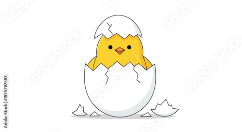 A cute baby chick is hatching from a cracked eggshell