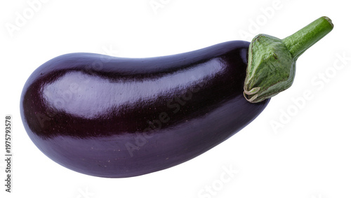 Obraz na płótnie Large glossy purple eggplant with green stem and blossom