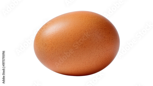 Obraz na płótnie Brown speckled chicken egg with textured shell